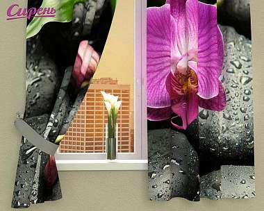 Фотошторы на кухню "Орхидея на камнях"